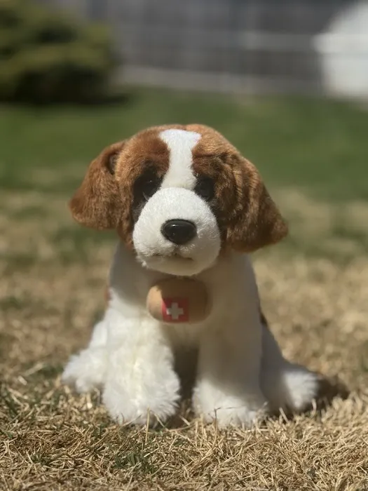 VCA Kickingbird Animal Hospital Picture 8