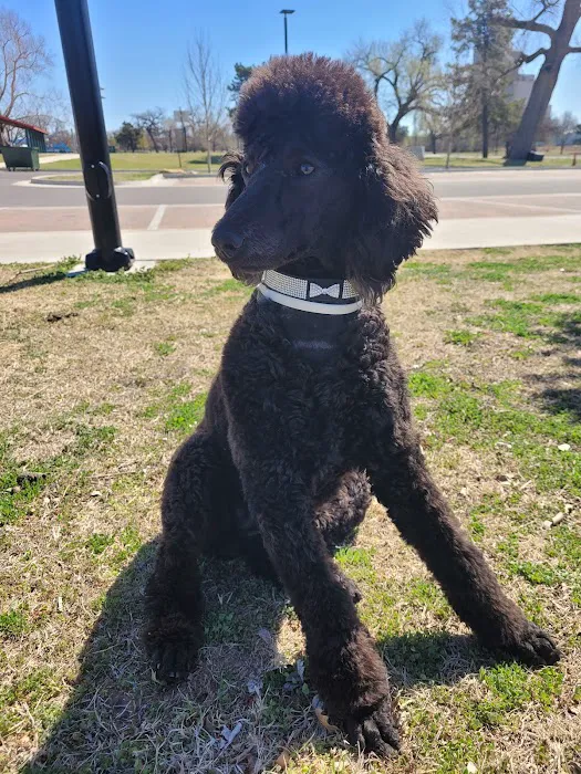 Vetco Total Care Animal Hospital Picture 1