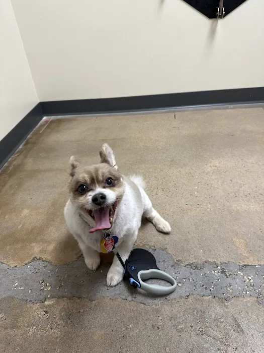 Vetco Total Care Animal Hospital Picture 3