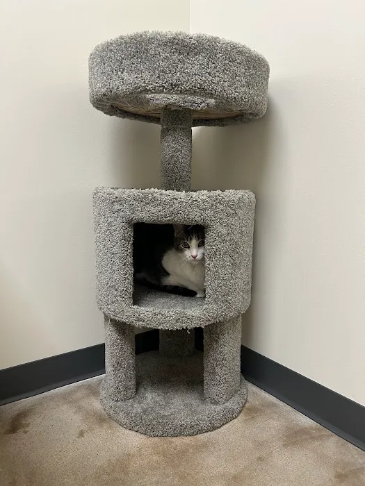 Vetco Total Care Animal Hospital Picture 5