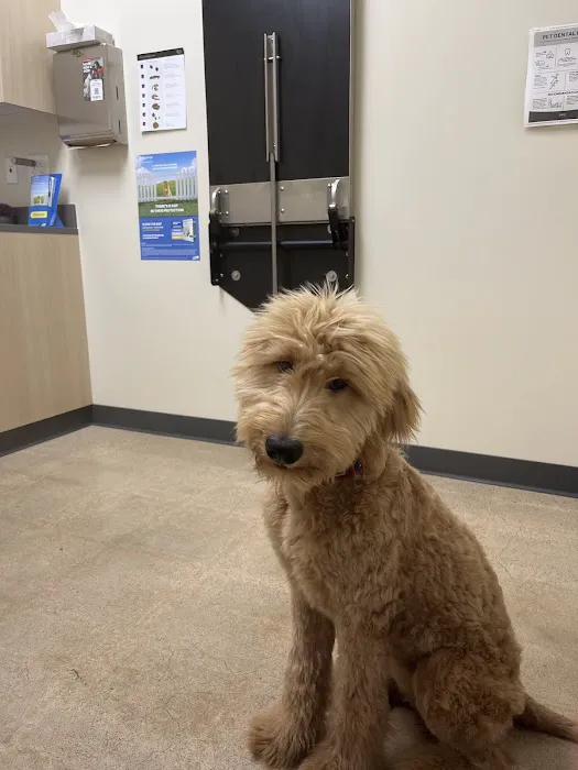 Vetco Total Care Animal Hospital Picture 2