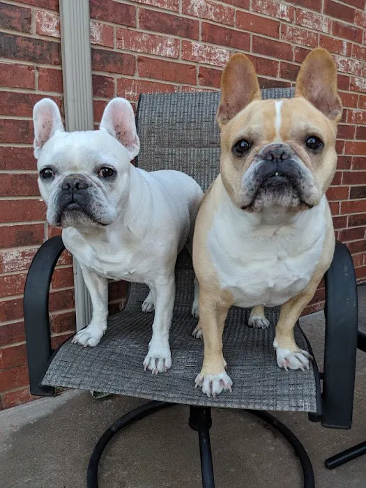 Danforth Animal Hospital Picture 3