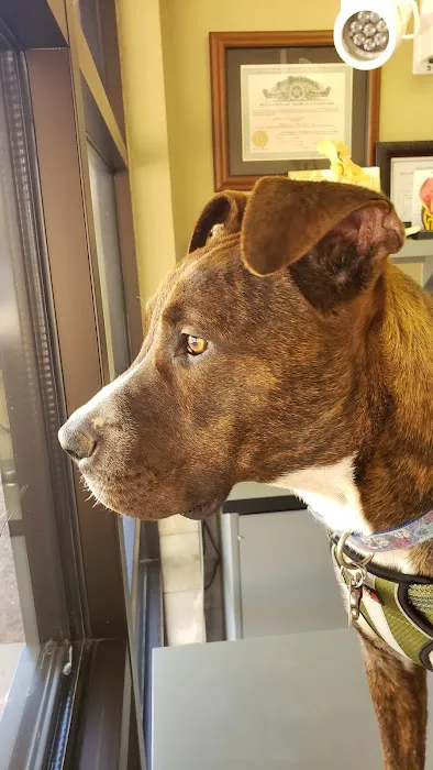 Danforth Animal Hospital Picture 4