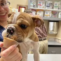 Danforth Animal Hospital ico