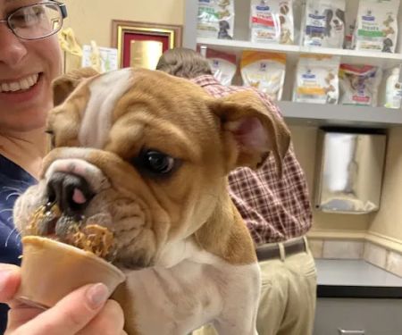 Danforth Animal Hospital