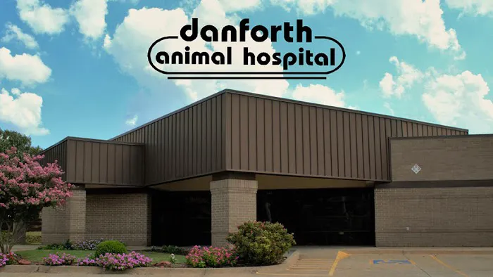 Danforth Animal Hospital Picture 6