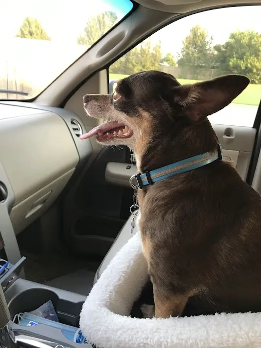 Danforth Animal Hospital Picture 7