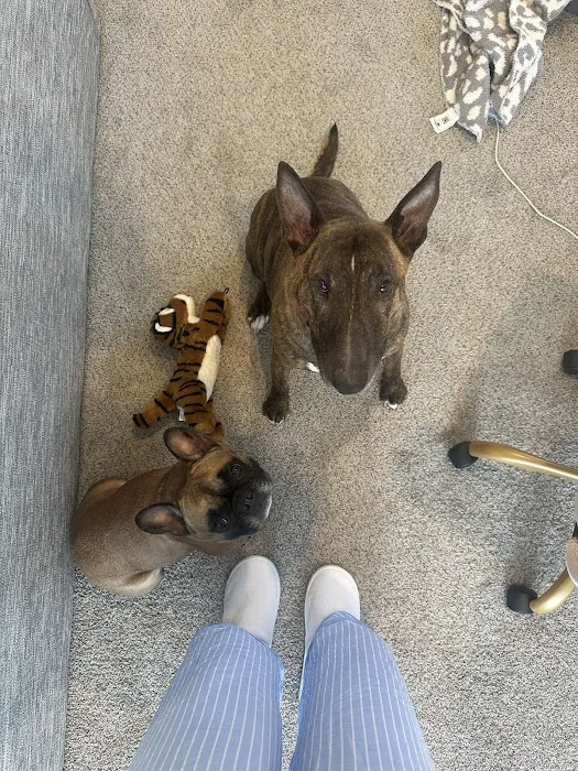 Danforth Animal Hospital Picture 9