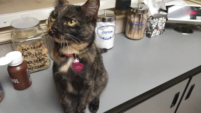 Danforth Animal Hospital Picture 5