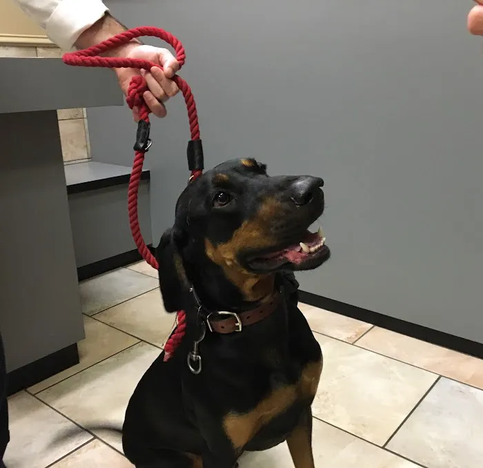 Danforth Animal Hospital Picture 10