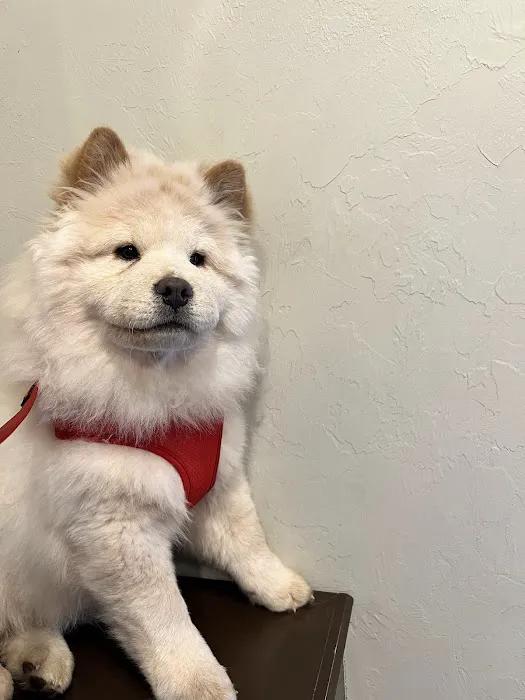 Choctaw Family Pet Care Picture 4