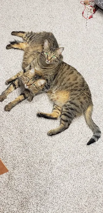 Choctaw Family Pet Care Picture 2