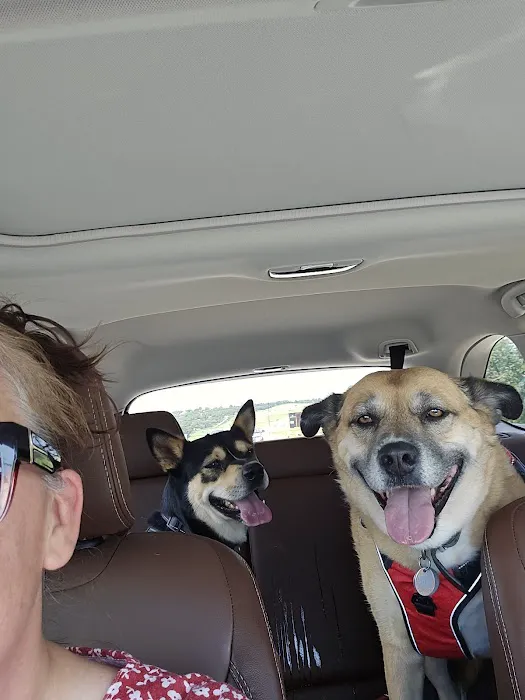 Choctaw Family Pet Care Picture 1