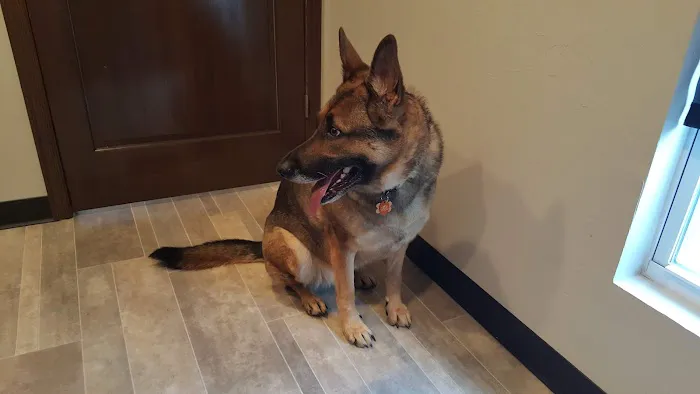 Choctaw Family Pet Care Picture 3