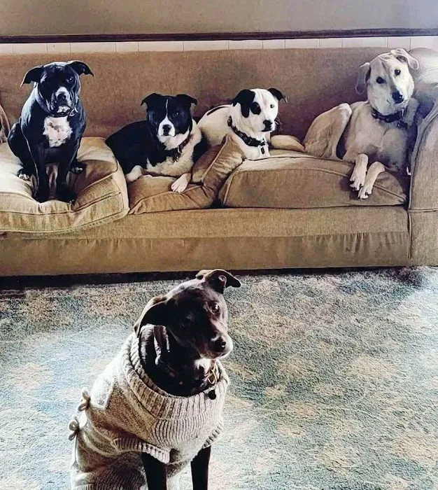 Choctaw Family Pet Care Picture 9