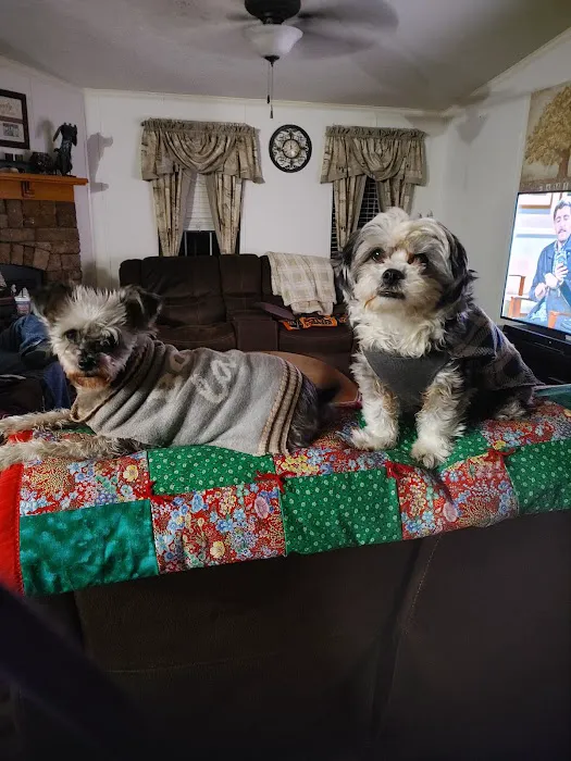 Town and Country Animal Hospital Picture 4