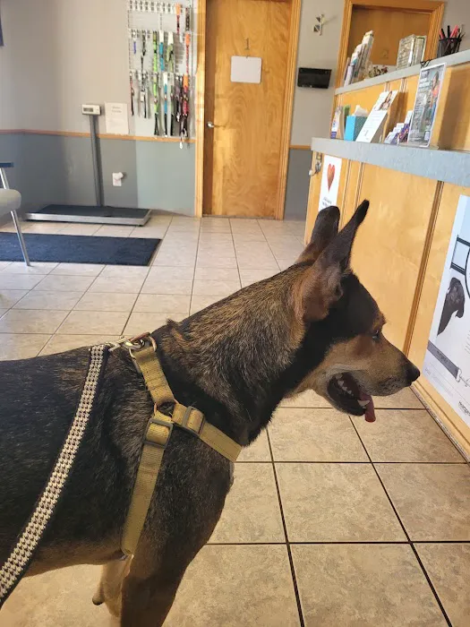 Town and Country Animal Hospital Picture 10