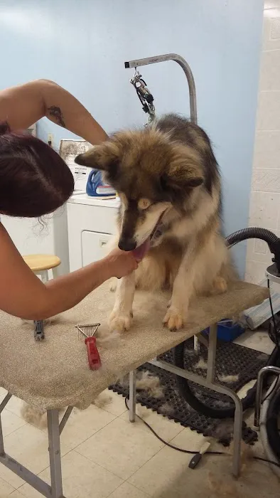 Post Road Pet Clinic Picture 1