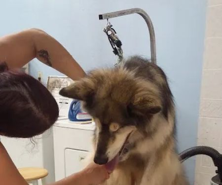 Post Road Pet Clinic