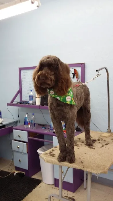 Post Road Pet Clinic Picture 2