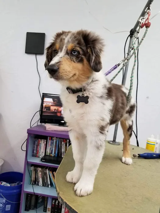 Post Road Pet Clinic Picture 8