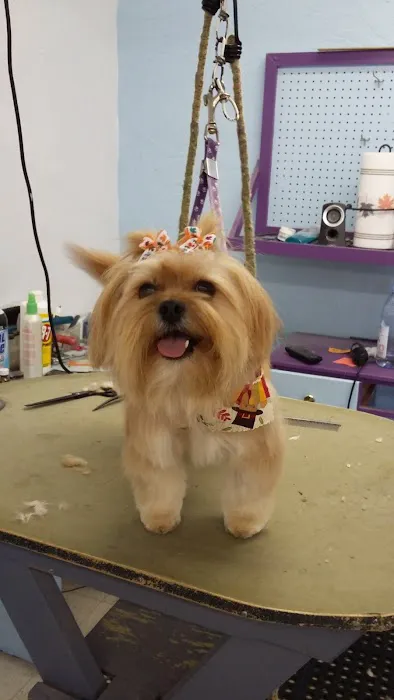 Post Road Pet Clinic Picture 5