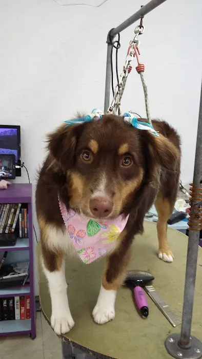 Post Road Pet Clinic Picture 6