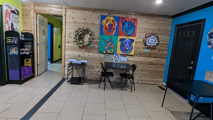 Animal Birth Control and Vaccine Clinic Picture 1