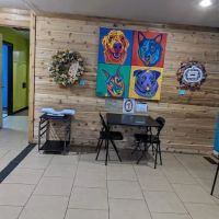 Animal Birth Control and Vaccine Clinic ico