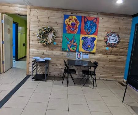 Animal Birth Control and Vaccine Clinic