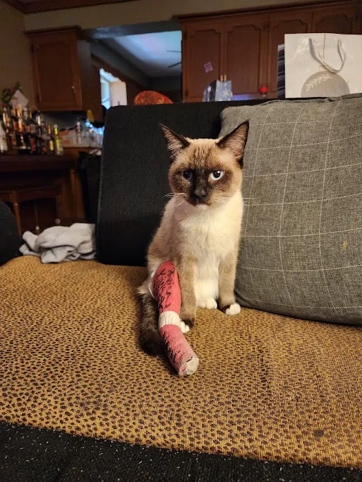 Animal Birth Control and Vaccine Clinic Picture 6