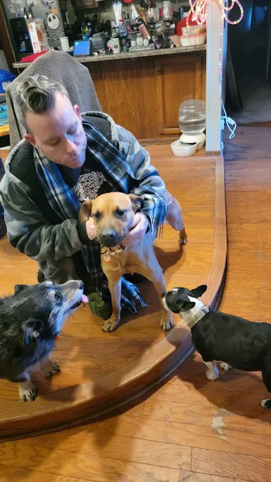 Animal Birth Control and Vaccine Clinic Picture 10