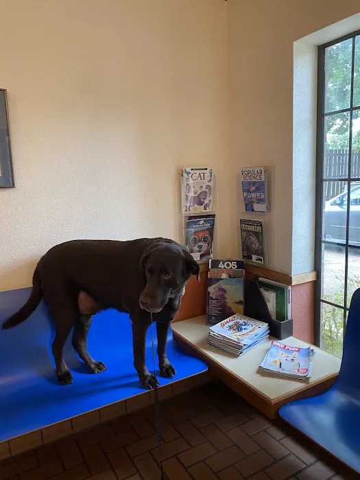 Amber Oaks Veterinary Hospital Picture 1