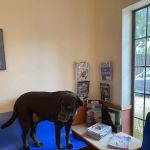 Amber Oaks Veterinary Hospital