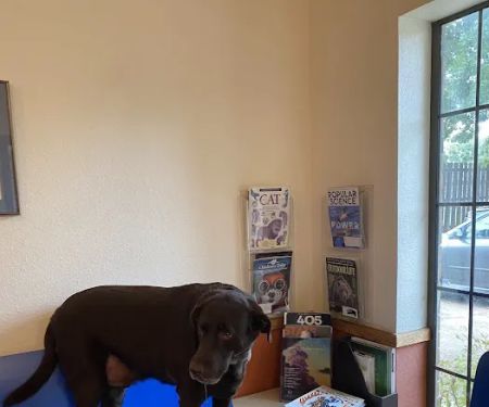 Amber Oaks Veterinary Hospital