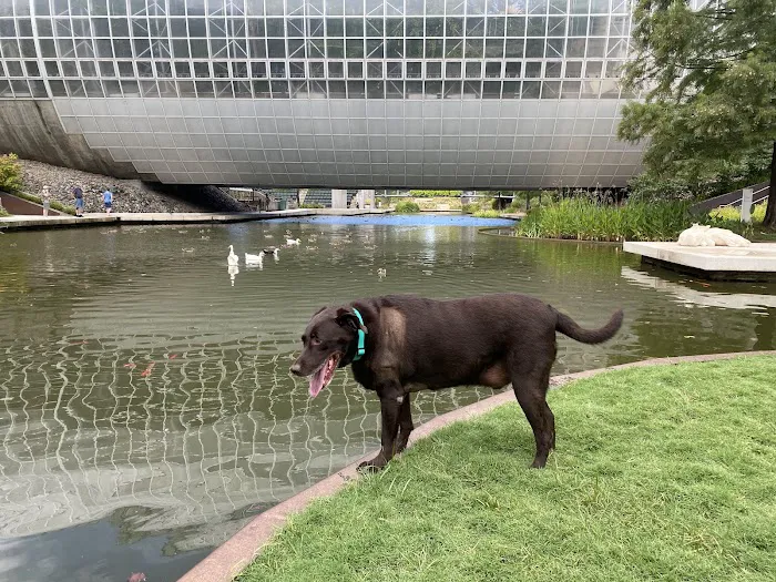 Amber Oaks Veterinary Hospital Picture 4