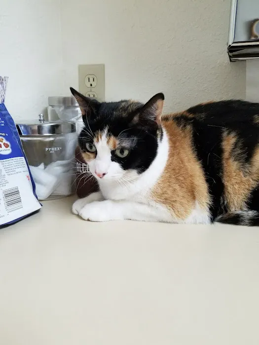 Amber Oaks Veterinary Hospital Picture 5