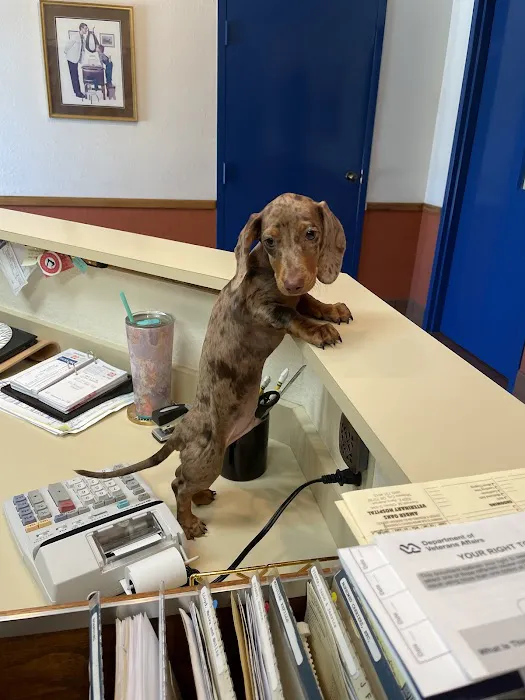 Amber Oaks Veterinary Hospital Picture 7