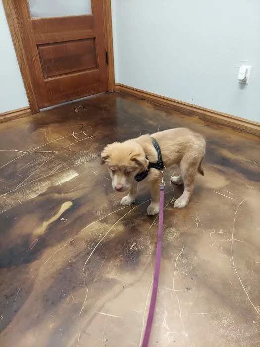 Animal Medical Center of Midwest City Picture 10