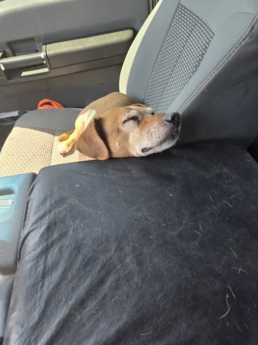 Animal Medical Center of Midwest City Picture 8