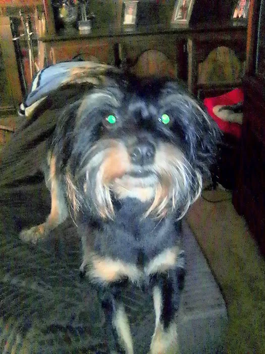 Denise Fruitt, DVM Picture 1