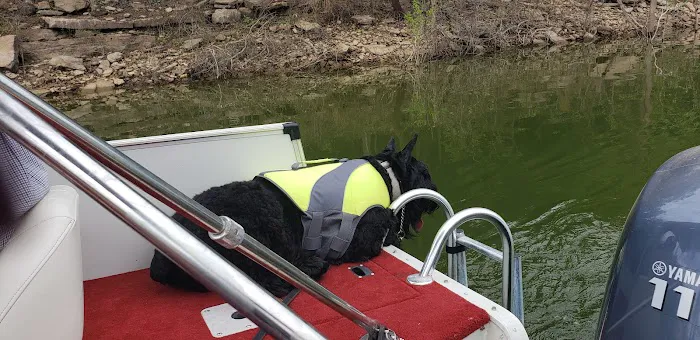 Denise Fruitt, DVM Picture 2