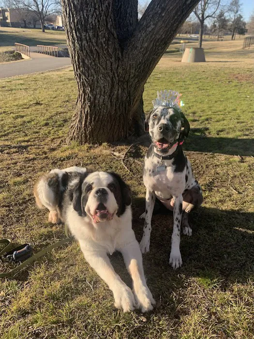 Holistic Pet Care Center of Oklahoma Picture 4