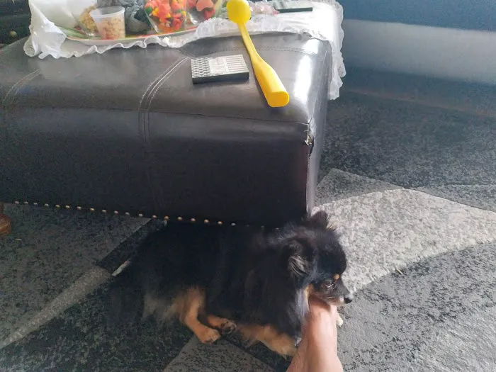 Banfield Pet Hospital Picture 1