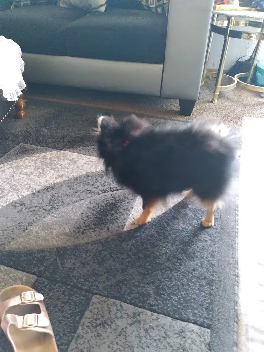 Banfield Pet Hospital Picture 2