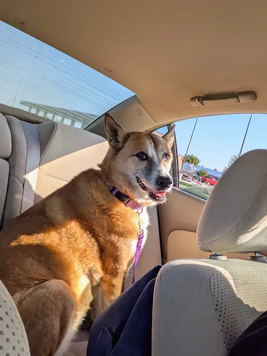 Banfield Pet Hospital Picture 8