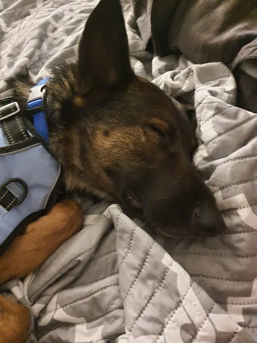 Banfield Pet Hospital Picture 7