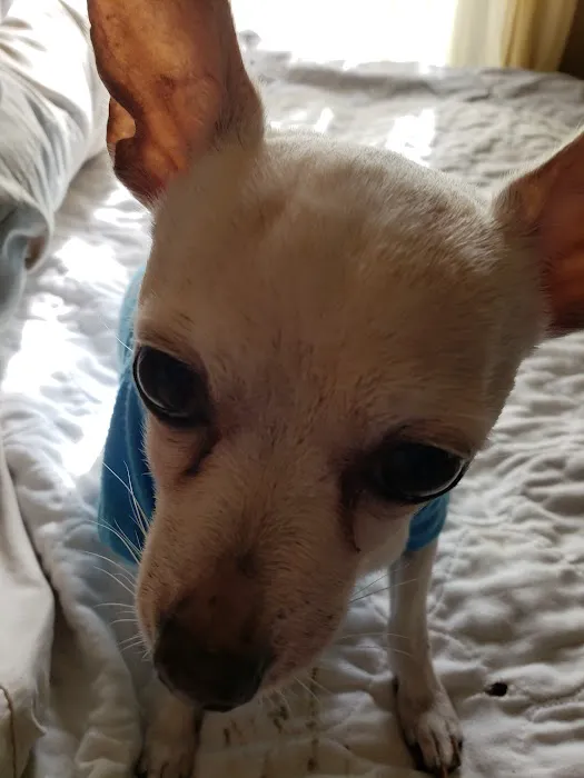 Midwest Veterinary Hospital Picture 2