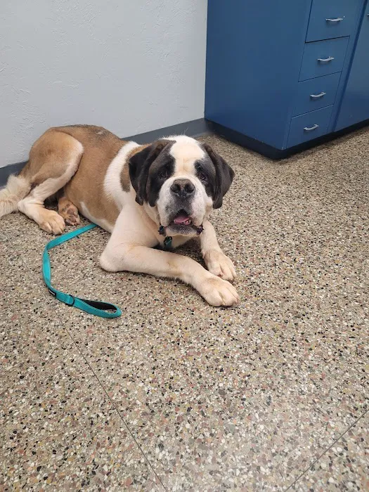 Midwest Veterinary Hospital Picture 6