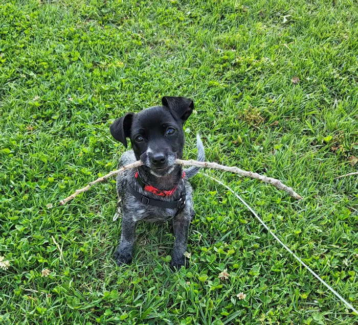 Midwest Veterinary Hospital Picture 9